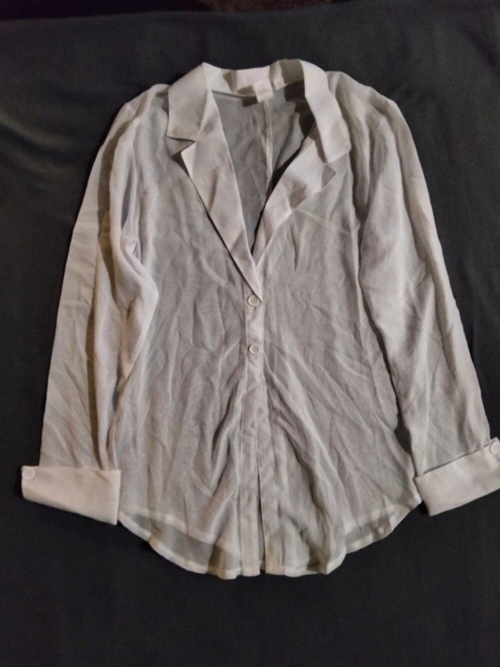 Dreamgirl Light Gray Sheer Button-Down Blouse